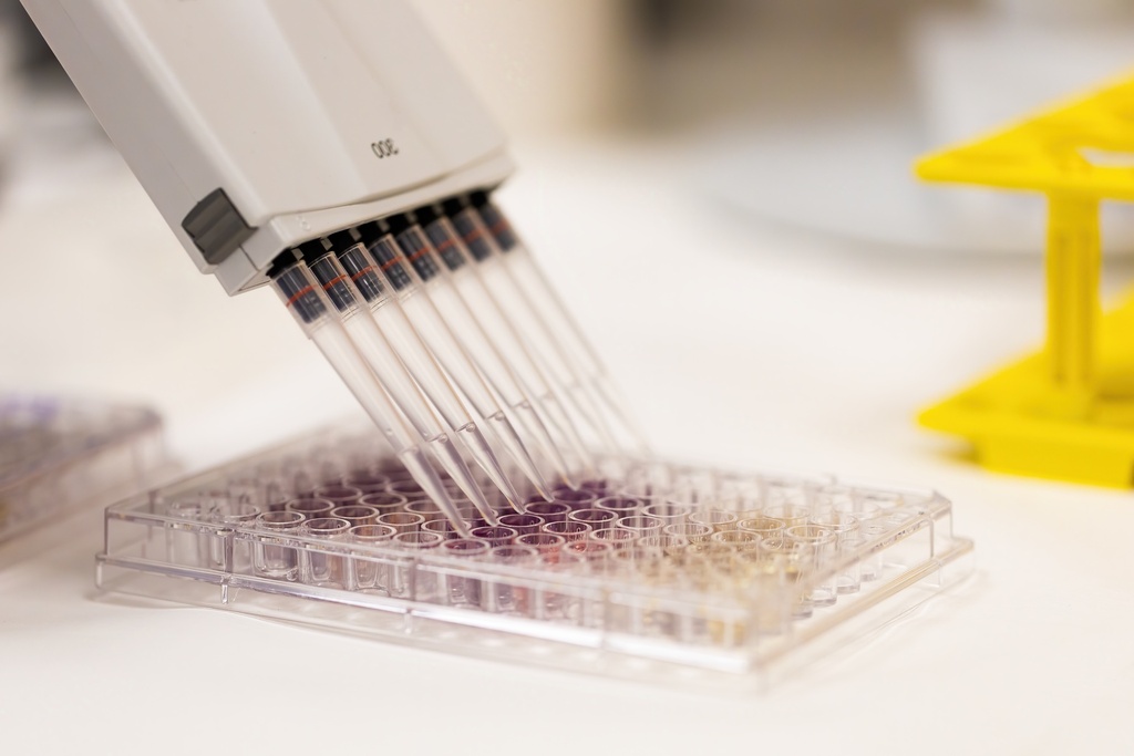 AmpliStar-II 8-Strip 0.1ml Low-Profile PCR Tubes - 125